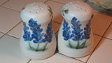 Salt and Pepper Shakers with Blue Bonnets